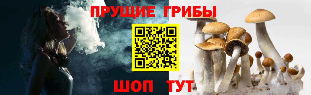 Галлюциногенные грибы GOLDEN TEACHER Светлоград