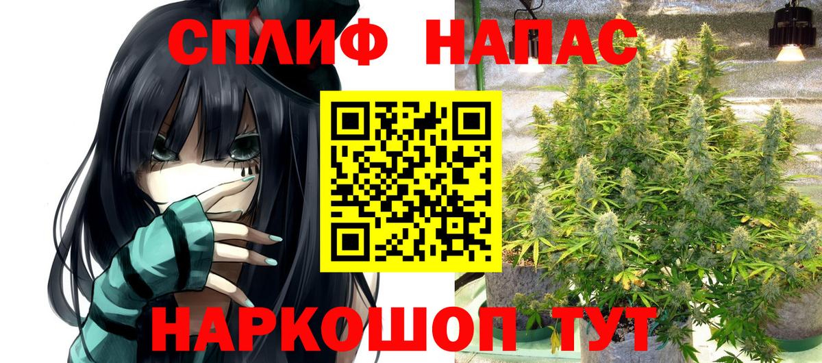 Каннабис конопля Светлоград